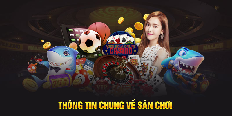 Thông tin chung về sân chơi