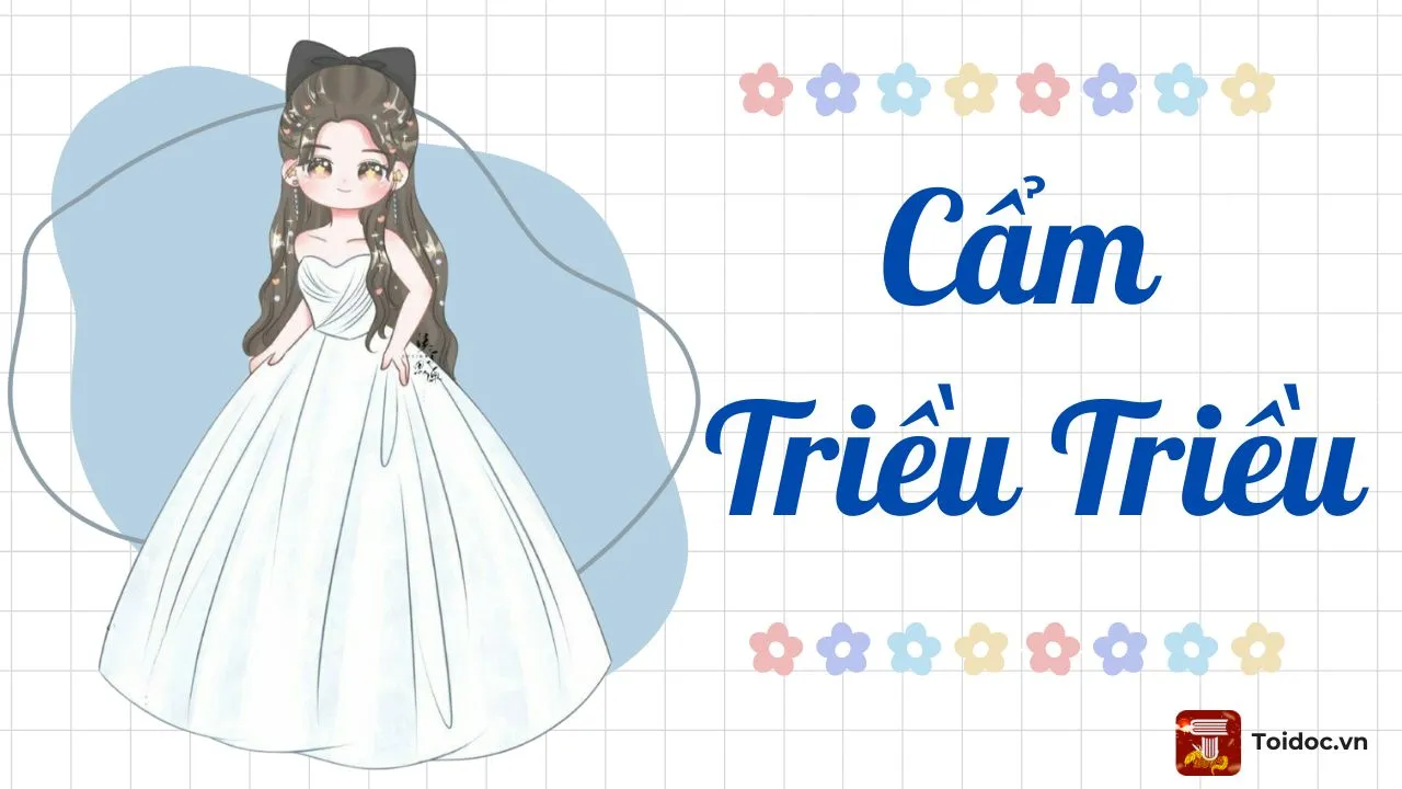 Phân Tích Cẩm Triều Triều – Nữ Chính Tự Đi Tìm Chồng