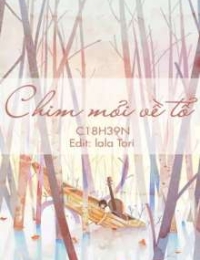 Chim Mỏi Về Tổ