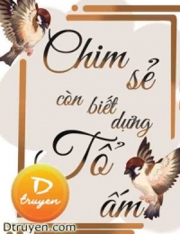 Chim Sẻ Còn Biết Dựng Tổ Ấm