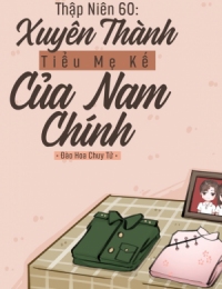 Thập Niên 60: Xuyên Thành Tiểu Mẹ Kế Của Nam Chính