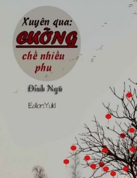 Xuyên Qua: Cưỡng Chế Nhiều Phu